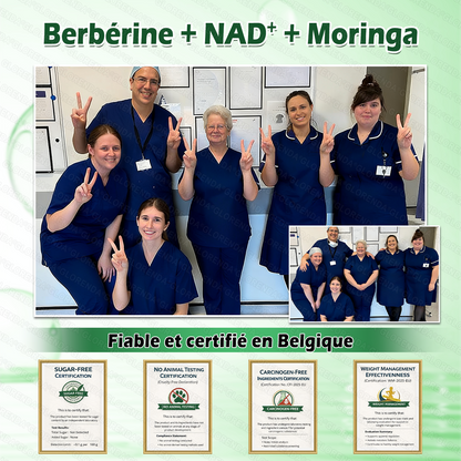 Boutique officielle 🪄 𝐆𝐋𝐎𝐑𝐄𝐍𝐃𝐀® Moringa · Berbérine + NAD+ – Patch Microneedle Nano Avancé 10-en-1 (1×/jour, résultats visibles en 7 jours) | Obésité, relâchement cutané, apnée du sommeil, articulations, etc.